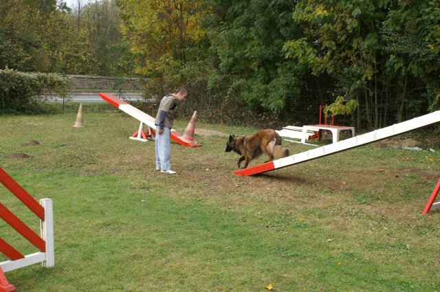 agility 2011-10-30